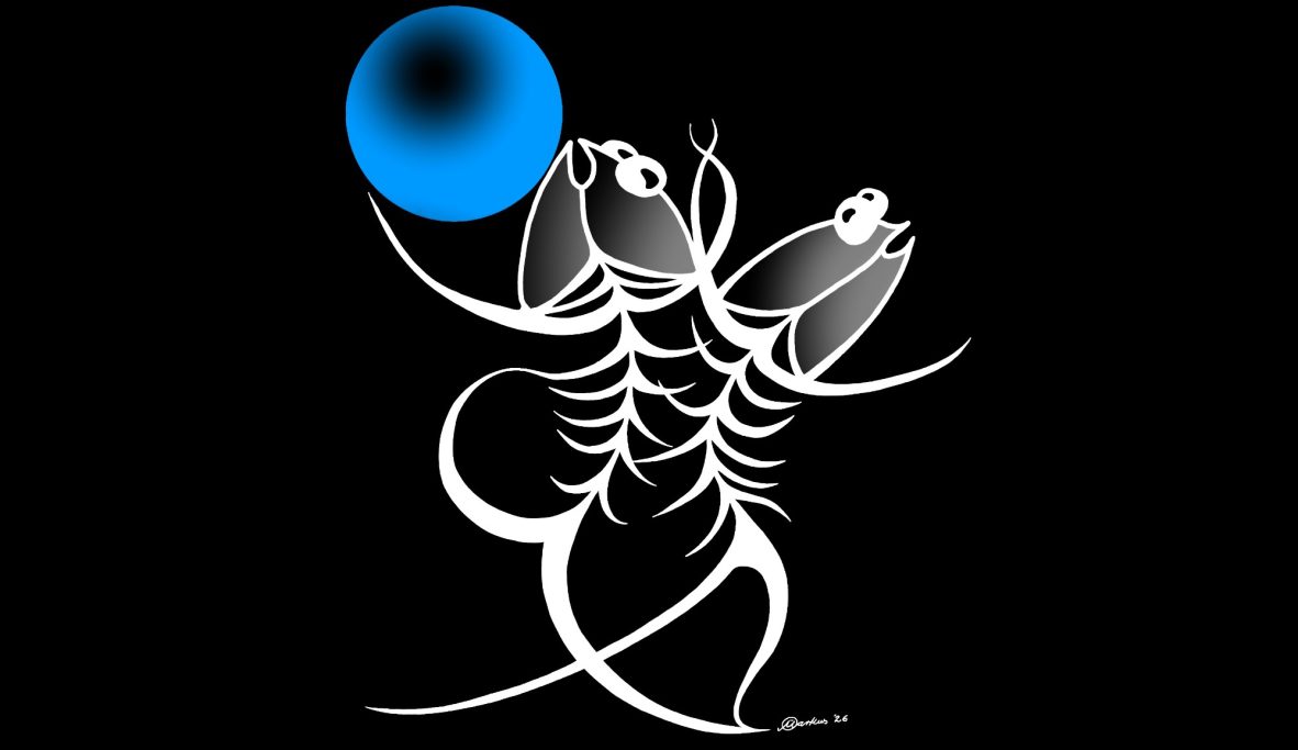 Sommernachtsball